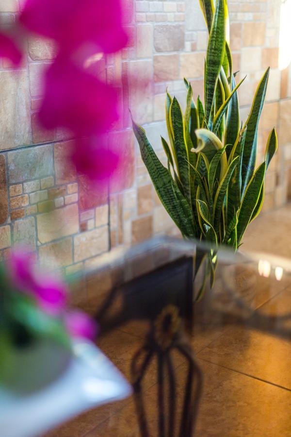Merida Serviced Apartments Exterior foto